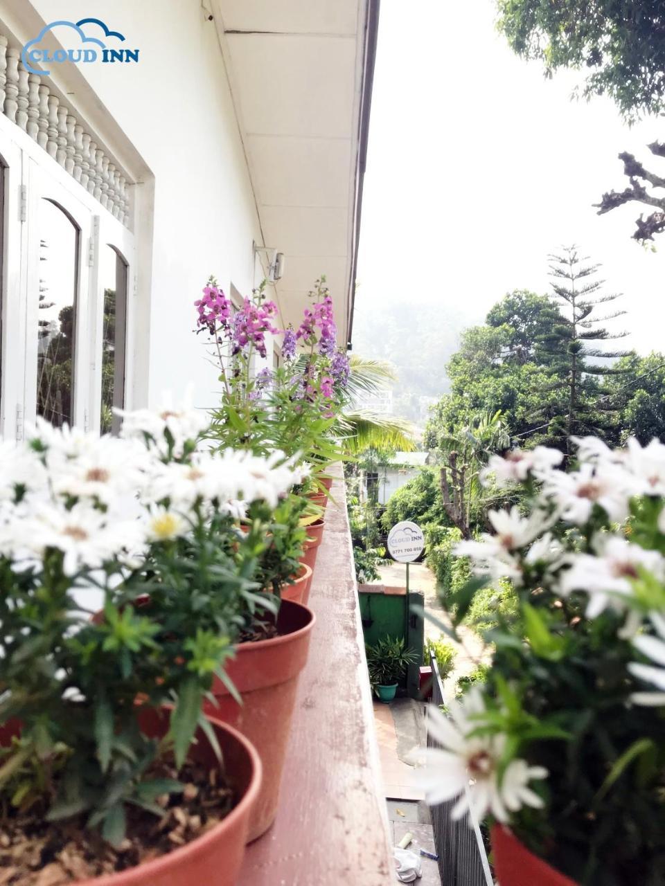 Cloud Inn Kandy Homestay Экстерьер фото